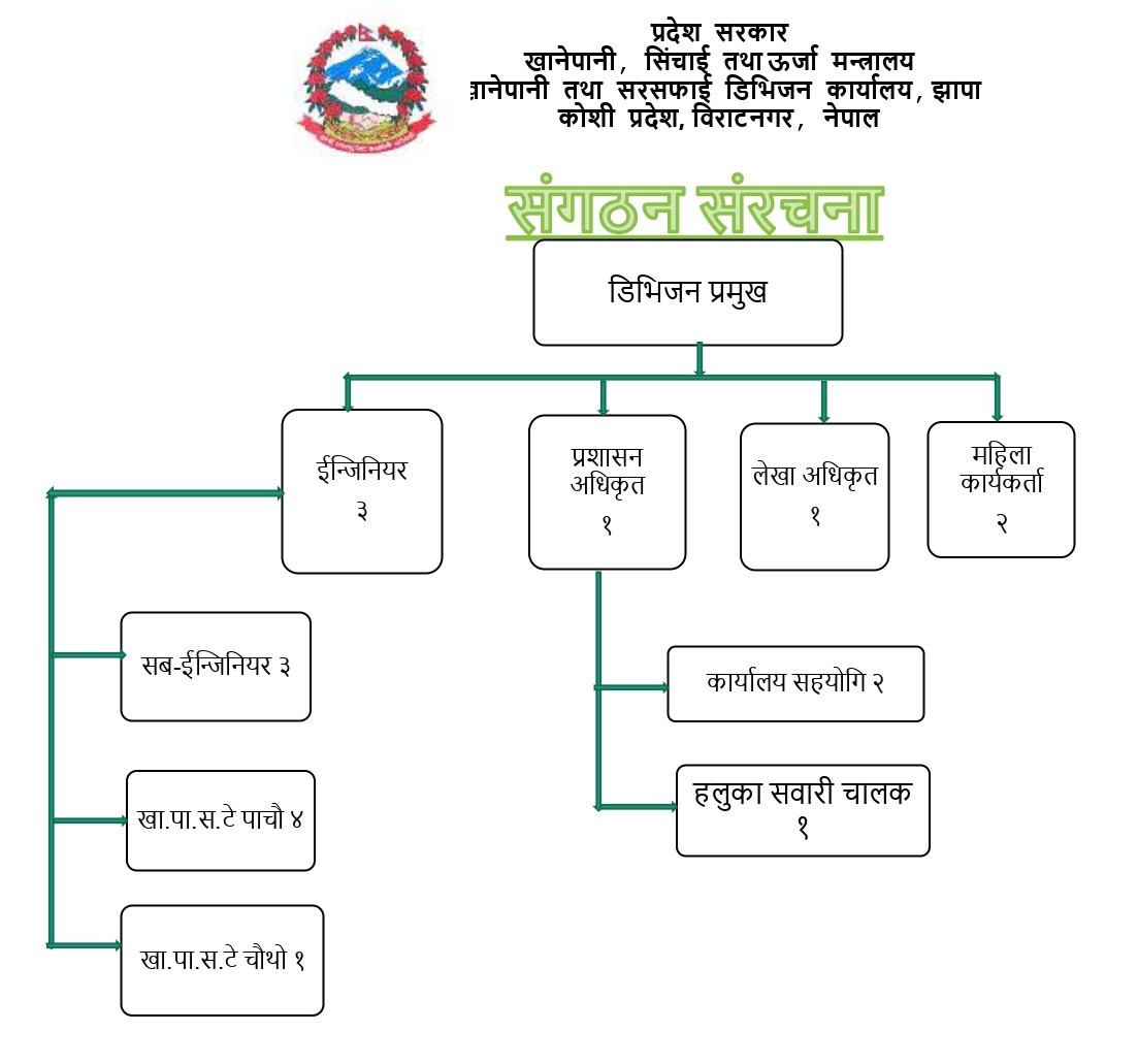 संगठन संरचना